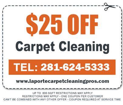 La Porte Carpet Cleaning Pros